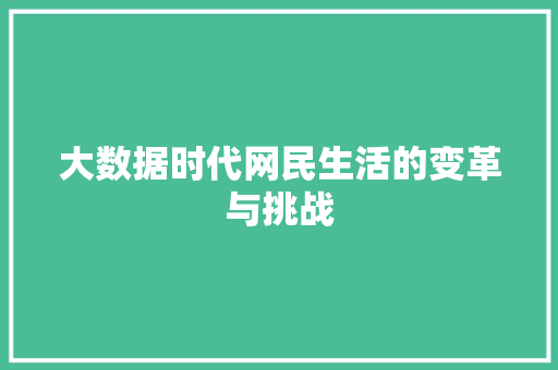 大数据时代网民生活的变革与挑战