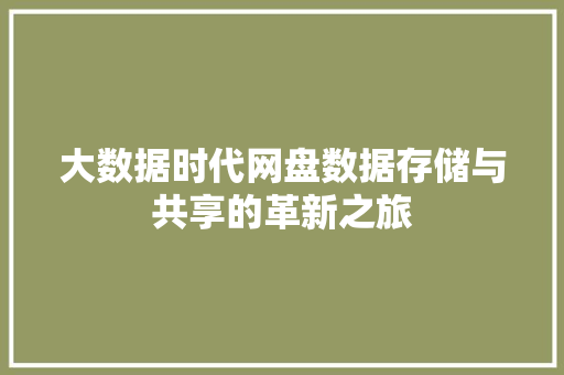 大数据时代网盘数据存储与共享的革新之旅
