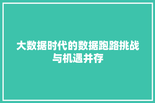 大数据时代的数据跑路挑战与机遇并存