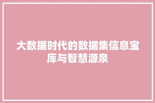 大数据时代的数据集信息宝库与智慧源泉