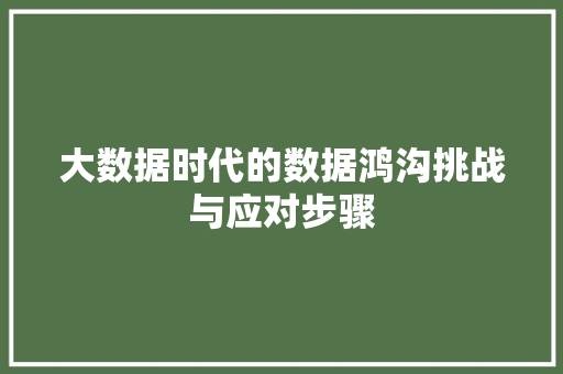 大数据时代的数据鸿沟挑战与应对步骤