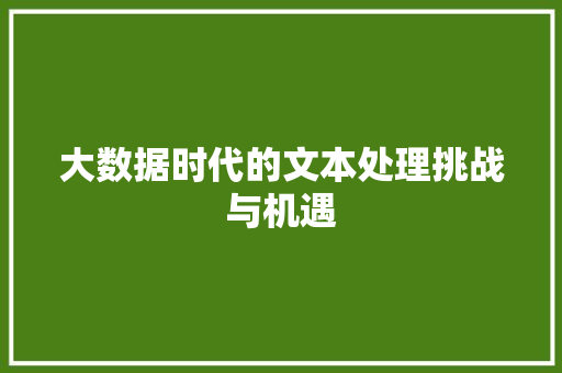 大数据时代的文本处理挑战与机遇