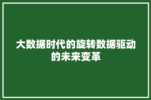 大数据时代的旋转数据驱动的未来变革