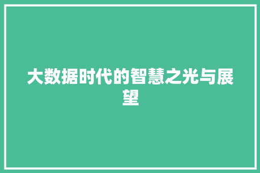 大数据时代的智慧之光与展望