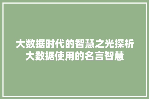 大数据时代的智慧之光探析大数据使用的名言智慧