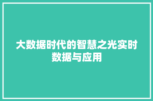 大数据时代的智慧之光实时数据与应用