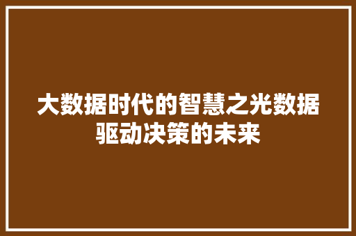 大数据时代的智慧之光数据驱动决策的未来