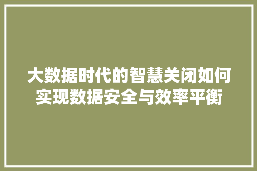 大数据时代的智慧关闭如何实现数据安全与效率平衡