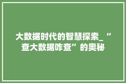 大数据时代的智慧探索_“查大数据咋查”的奥秘