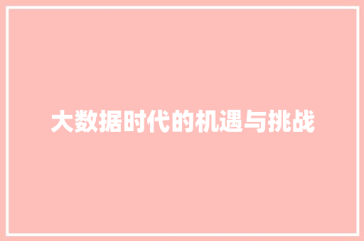 大数据时代的机遇与挑战
