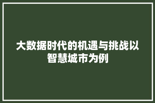 大数据时代的机遇与挑战以智慧城市为例