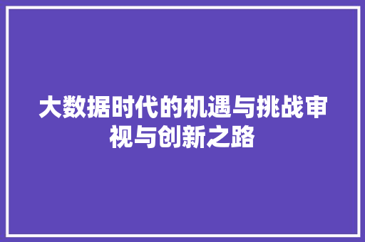 大数据时代的机遇与挑战审视与创新之路