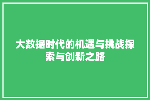 大数据时代的机遇与挑战探索与创新之路