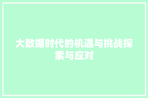 大数据时代的机遇与挑战探索与应对