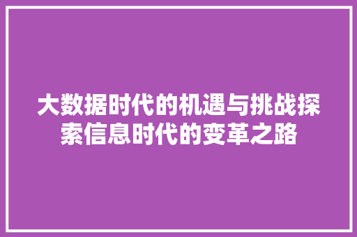 大数据时代的机遇与挑战探索信息时代的变革之路
