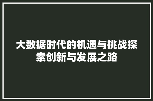大数据时代的机遇与挑战探索创新与发展之路