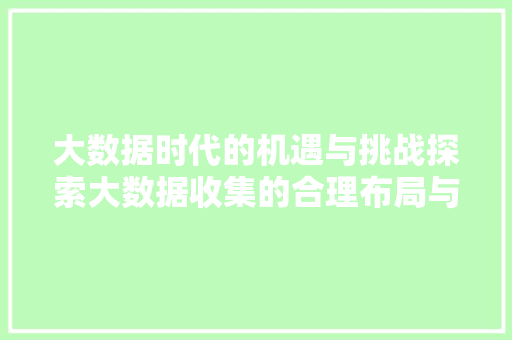 大数据时代的机遇与挑战探索大数据收集的合理布局与应用
