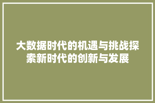 大数据时代的机遇与挑战探索新时代的创新与发展