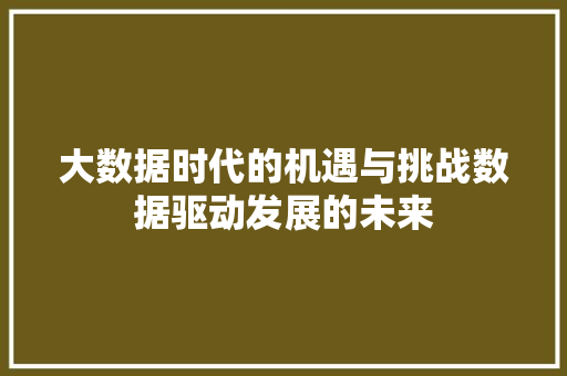 大数据时代的机遇与挑战数据驱动发展的未来