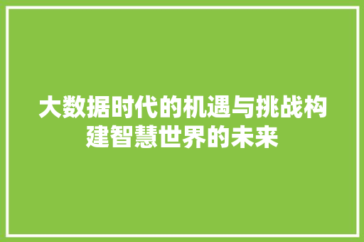 大数据时代的机遇与挑战构建智慧世界的未来