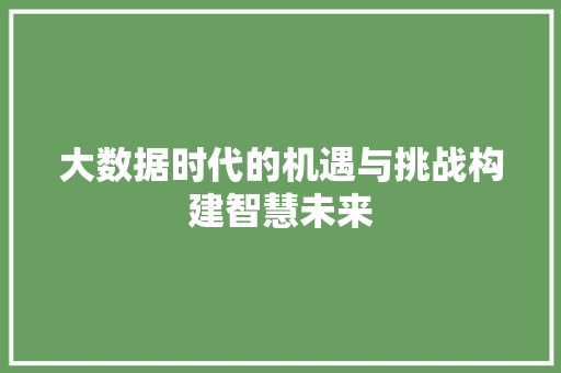 大数据时代的机遇与挑战构建智慧未来