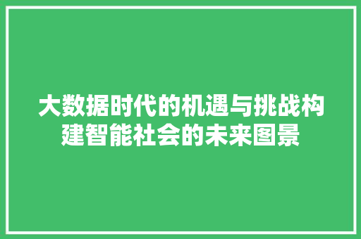大数据时代的机遇与挑战构建智能社会的未来图景