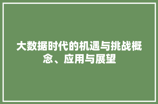 大数据时代的机遇与挑战概念、应用与展望