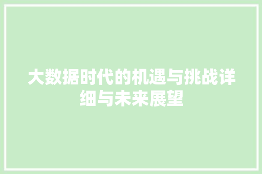 大数据时代的机遇与挑战详细与未来展望
