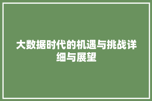 大数据时代的机遇与挑战详细与展望