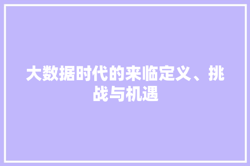大数据时代的来临定义、挑战与机遇