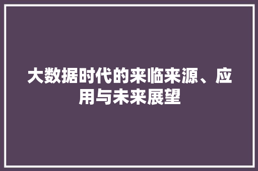 大数据时代的来临来源、应用与未来展望