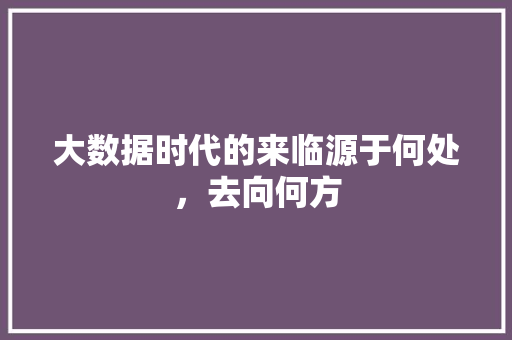 大数据时代的来临源于何处，去向何方