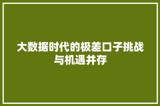 大数据时代的极差口子挑战与机遇并存