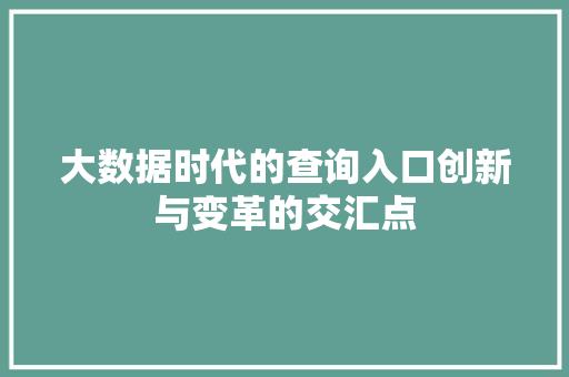 大数据时代的查询入口创新与变革的交汇点