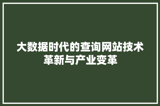 大数据时代的查询网站技术革新与产业变革