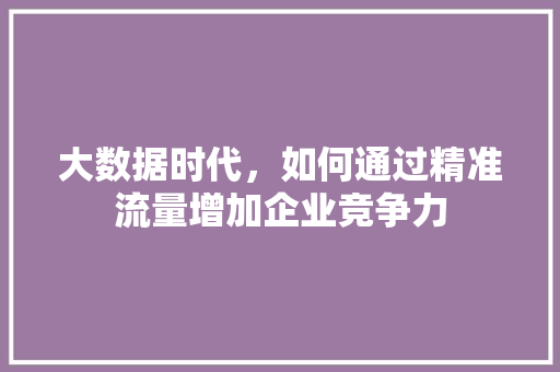 大数据时代，如何通过精准流量增加企业竞争力