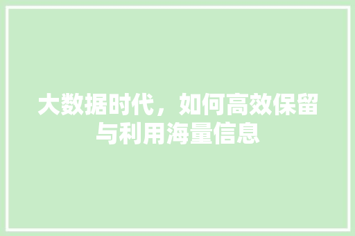 大数据时代，如何高效保留与利用海量信息