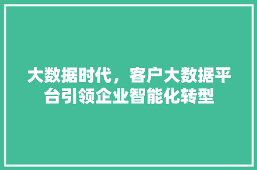 大数据时代，客户大数据平台引领企业智能化转型