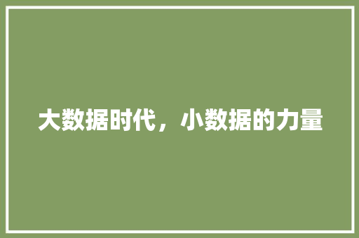 大数据时代，小数据的力量