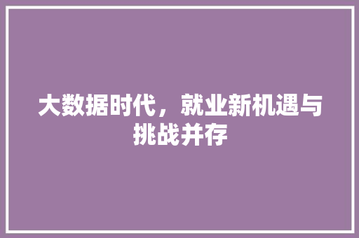 大数据时代，就业新机遇与挑战并存