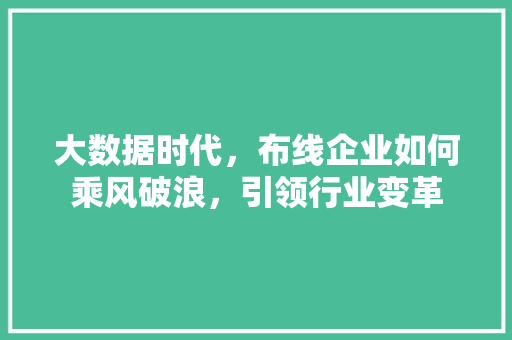 大数据时代，布线企业如何乘风破浪，引领行业变革