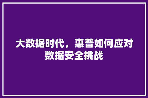 大数据时代，惠普如何应对数据安全挑战