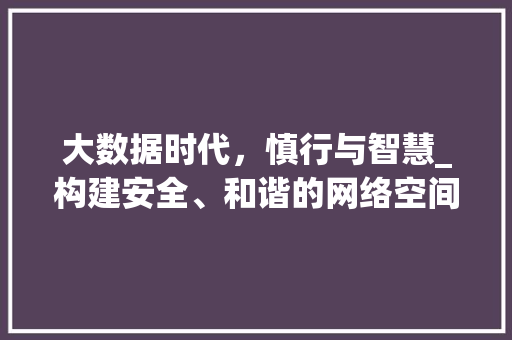 大数据时代，慎行与智慧_构建安全、和谐的网络空间