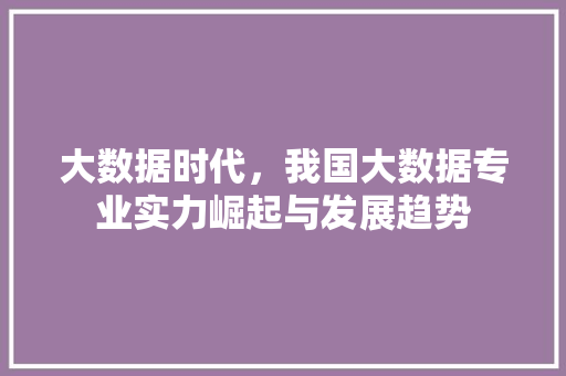 大数据时代，我国大数据专业实力崛起与发展趋势
