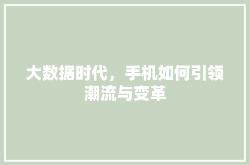大数据时代，手机如何引领潮流与变革