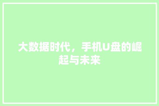 大数据时代，手机U盘的崛起与未来