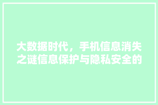 大数据时代，手机信息消失之谜信息保护与隐私安全的双重挑战
