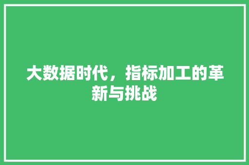 大数据时代，指标加工的革新与挑战