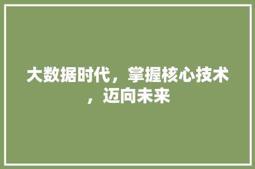 大数据时代，掌握核心技术，迈向未来