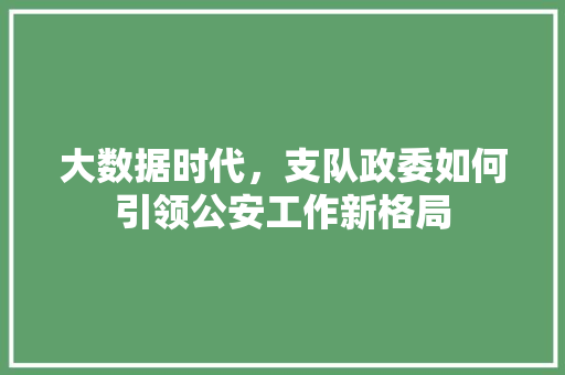 大数据时代，支队政委如何引领公安工作新格局
